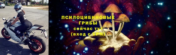 гидропоника Михайловск