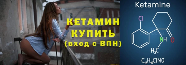 сатива Тольятти