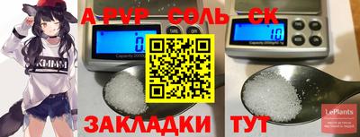 гашик Кандалакша