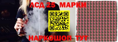 гашик Кандалакша