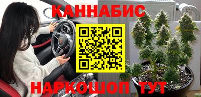 ALPHA PVP Канаш