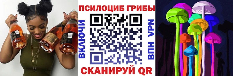 сколько стоит  Якутск  ссылка на мегу онион  Галлюциногенные грибы Psilocybine cubensis 